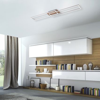Leuchten Direkt 14019-78 - Himmennettävä LED-kattovalaisin IVEN 2xLED/20W/230V + kauko-ohjaus