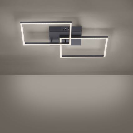 Leuchten Direkt 14141-18 - Himmennettävä LED-kattovalaisin IVEN 2xLED/14W/230V + kauko-ohjaus