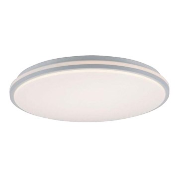 Leuchten Direkt 14208-16 - LED Himmennettävä kattovalo COLIN LED/18W/230V