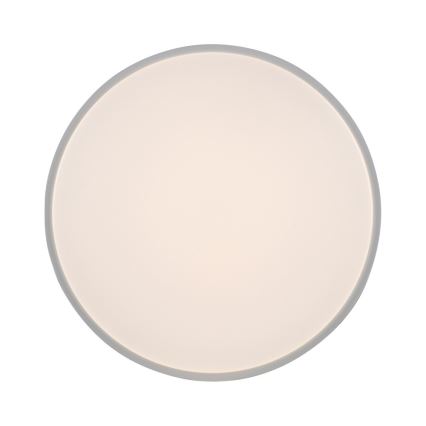 Leuchten Direkt 14209-16 - LED Himmennettävä katttovalo COLIN LED/32,4W/230V