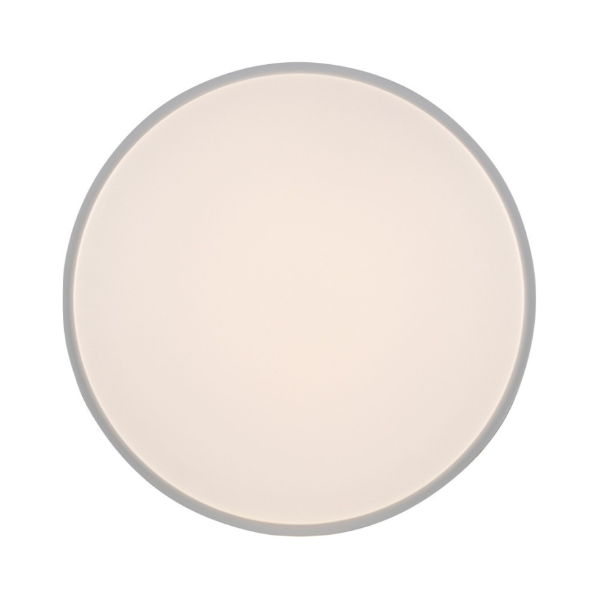 Leuchten Direkt 14209-16 - LED Himmennettävä katttovalo COLIN LED/32,4W/230V