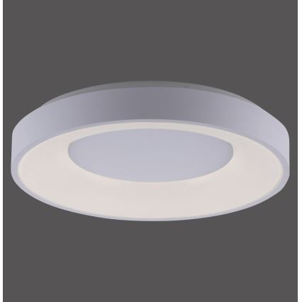 Leuchten Direkt 14326-16 - Himmennettävä LED-kattovalaisin ANIKA LED/30W/230V + kauko-ohjaus