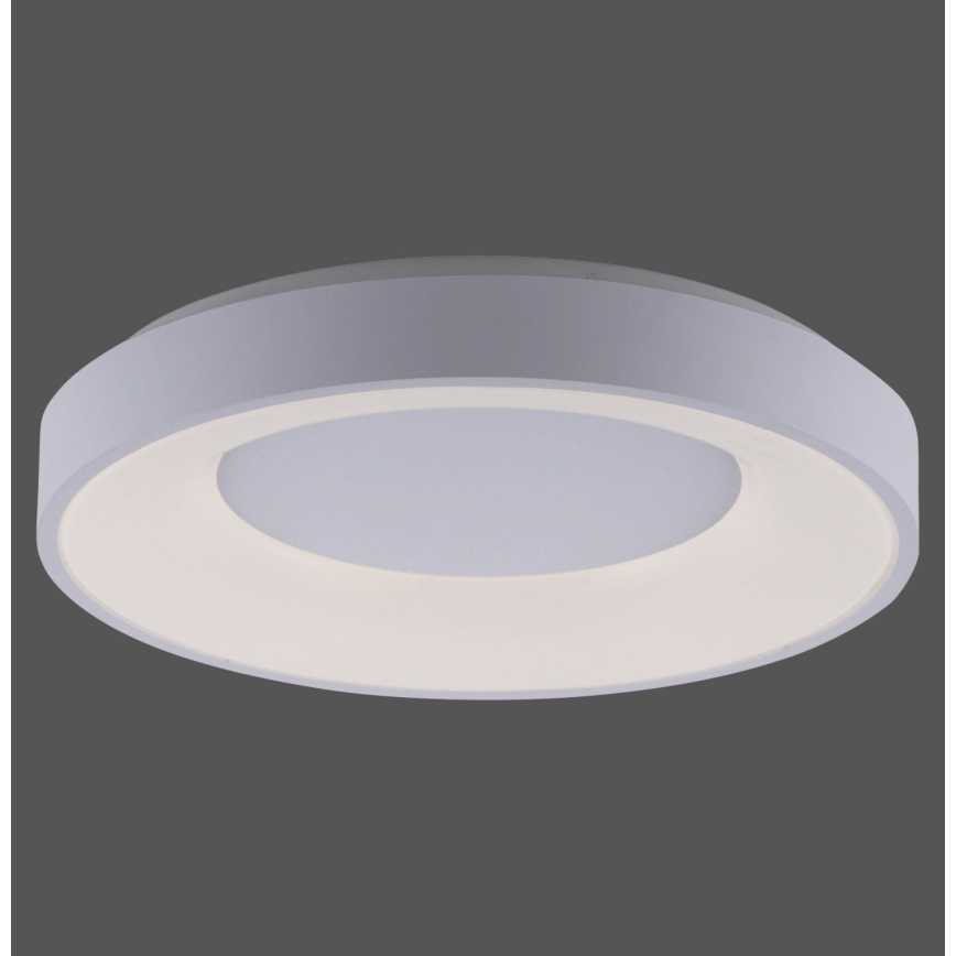 Leuchten Direkt 14326-16 - Himmennettävä LED-kattovalaisin ANIKA LED/30W/230V + kauko-ohjaus