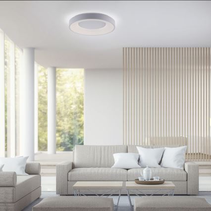 Leuchten Direkt 14326-16 - Himmennettävä LED-kattovalaisin ANIKA LED/30W/230V + kauko-ohjaus