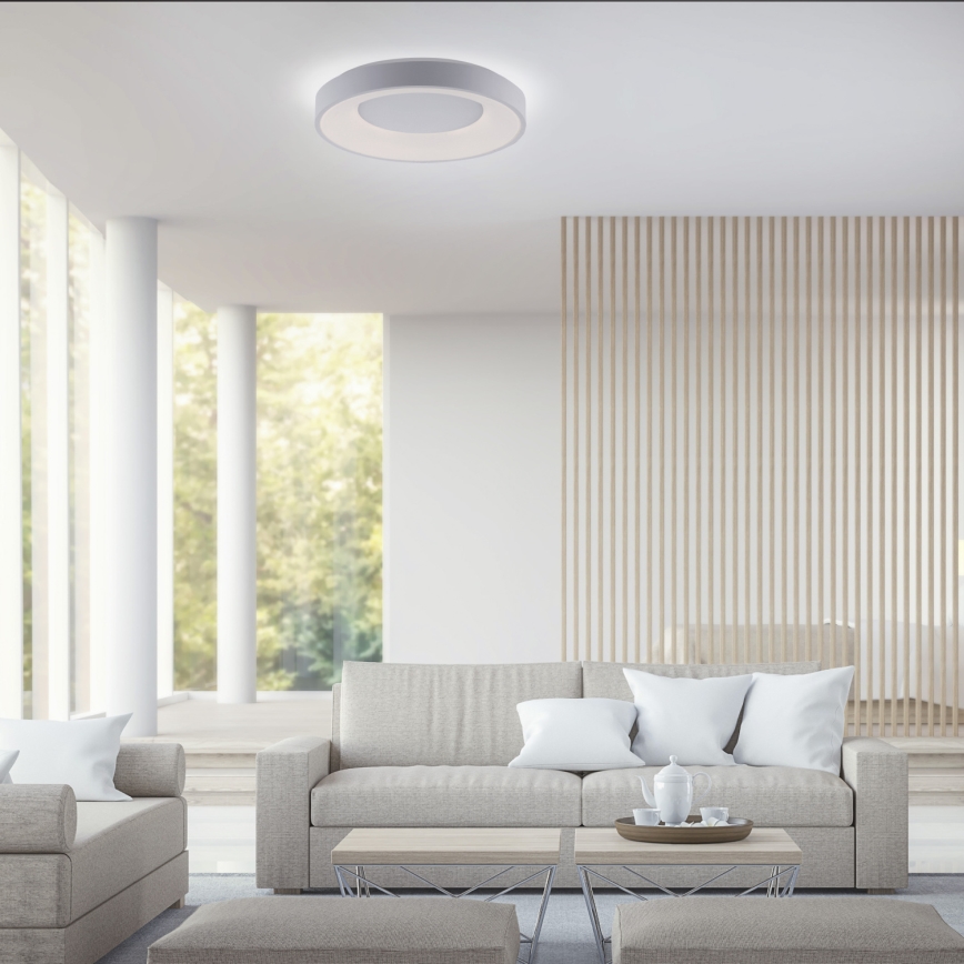 Leuchten Direkt 14326-16 - Himmennettävä LED-kattovalaisin ANIKA LED/30W/230V + kauko-ohjaus