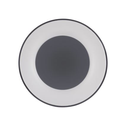 Leuchten Direkt 14326-18 - Himmennettävä LED-kattovalaisin ANIKA LED/30W/230V + kauko-ohjaus