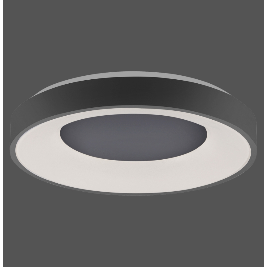 Leuchten Direkt 14326-18 - Himmennettävä LED-kattovalaisin ANIKA LED/30W/230V + kauko-ohjaus