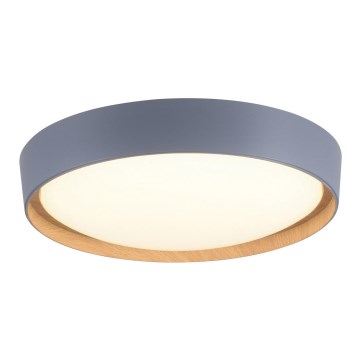 Leuchten Direkt 14347-15 - LED-kattovalaisin EMILIA LED/28,8W/230V harmaa
