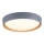 Leuchten Direkt 14347-15 - LED-kattovalaisin EMILIA LED/28,8W/230V harmaa