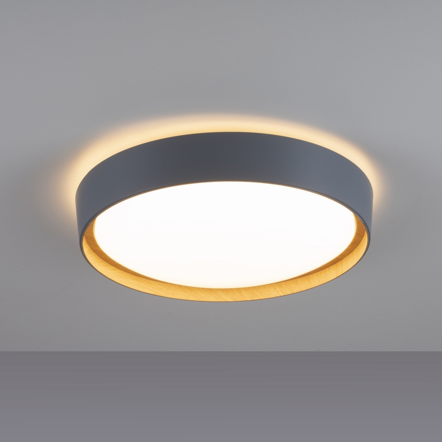 Leuchten Direkt 14347-15 - LED-kattovalaisin EMILIA LED/28,8W/230V harmaa