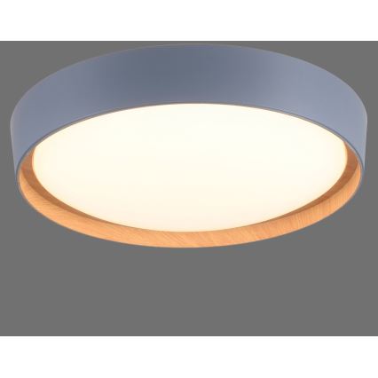 Leuchten Direkt 14347-15 - LED-kattovalaisin EMILIA LED/28,8W/230V harmaa