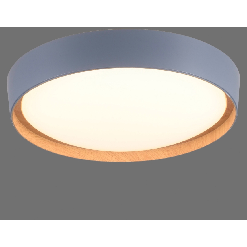 Leuchten Direkt 14347-15 - LED-kattovalaisin EMILIA LED/28,8W/230V harmaa