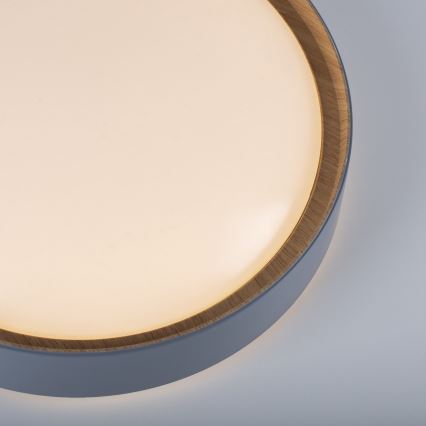 Leuchten Direkt 14347-15 - LED-kattovalaisin EMILIA LED/28,8W/230V harmaa