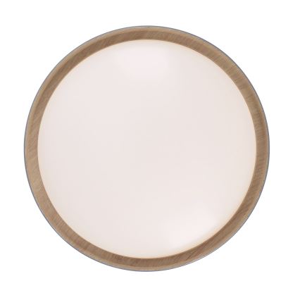 Leuchten Direkt 14347-15 - LED-kattovalaisin EMILIA LED/28,8W/230V harmaa