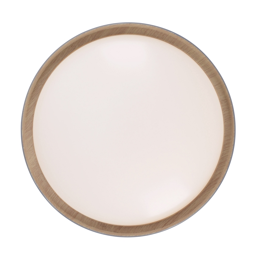 Leuchten Direkt 14347-15 - LED-kattovalaisin EMILIA LED/28,8W/230V harmaa