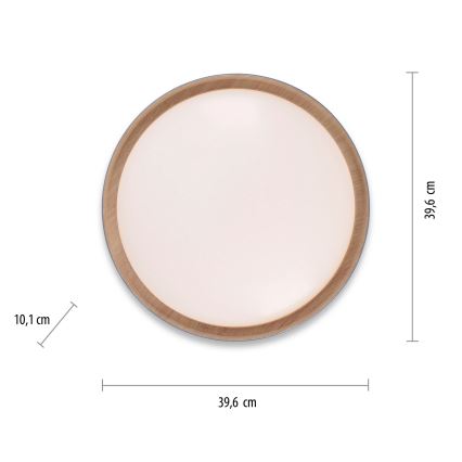 Leuchten Direkt 14347-15 - LED-kattovalaisin EMILIA LED/28,8W/230V harmaa