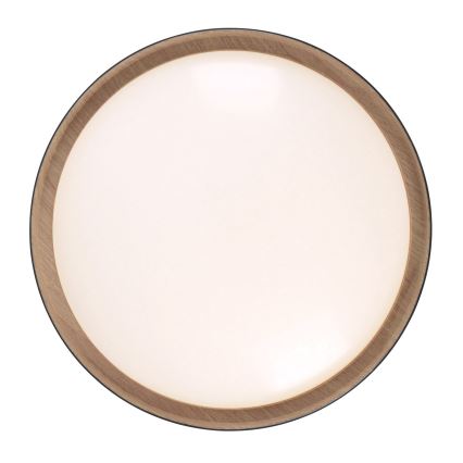 Leuchten Direkt 14347-18 - LED Himmennettävä kattovalaisin EMILIA LED/28,8W/230V musta