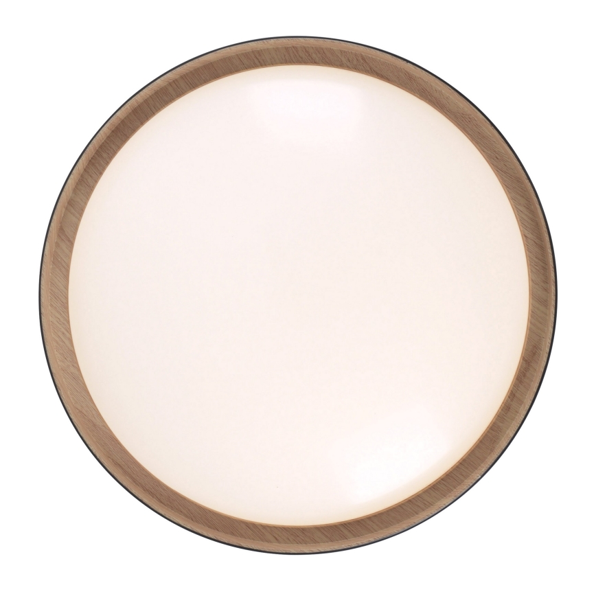 Leuchten Direkt 14347-18 - LED Himmennettävä kattovalaisin EMILIA LED/28,8W/230V musta