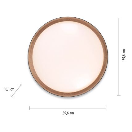 Leuchten Direkt 14347-18 - LED Himmennettävä kattovalaisin EMILIA LED/28,8W/230V musta