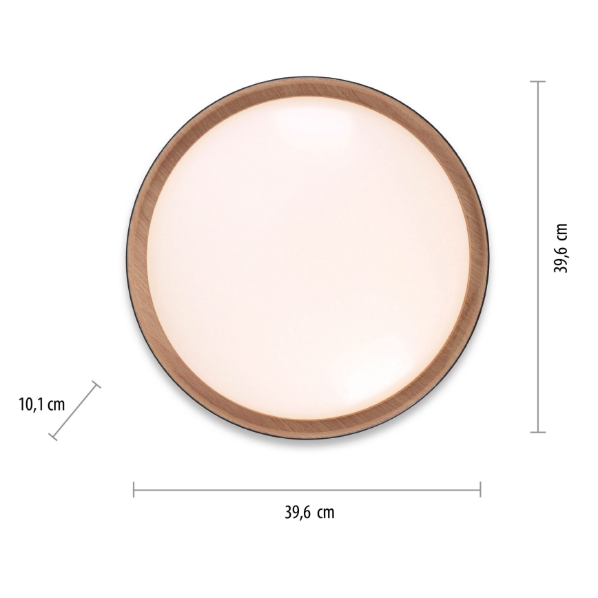 Leuchten Direkt 14347-18 - LED Himmennettävä kattovalaisin EMILIA LED/28,8W/230V musta