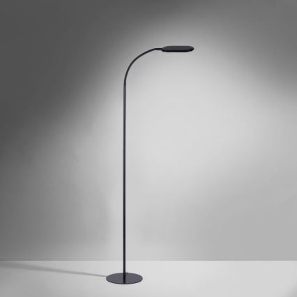 Leuchten Direkt 14406-18 - LED Himmennettävä kosketus lattialamppu KELLY LED/7W/230V 3000/4000/6000K