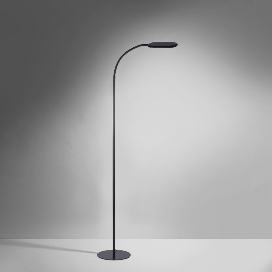 Leuchten Direkt 14406-18 - LED Himmennettävä kosketus lattialamppu KELLY LED/7W/230V 3000/4000/6000K