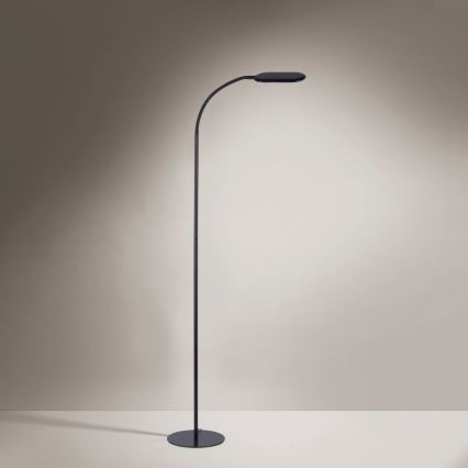 Leuchten Direkt 14406-18 - LED Himmennettävä kosketus lattialamppu KELLY LED/7W/230V 3000/4000/6000K