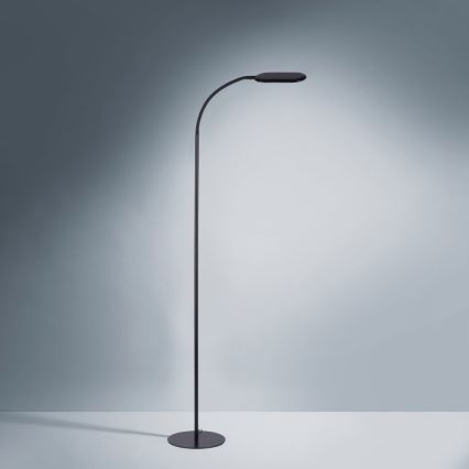 Leuchten Direkt 14406-18 - LED Himmennettävä kosketus lattialamppu KELLY LED/7W/230V 3000/4000/6000K