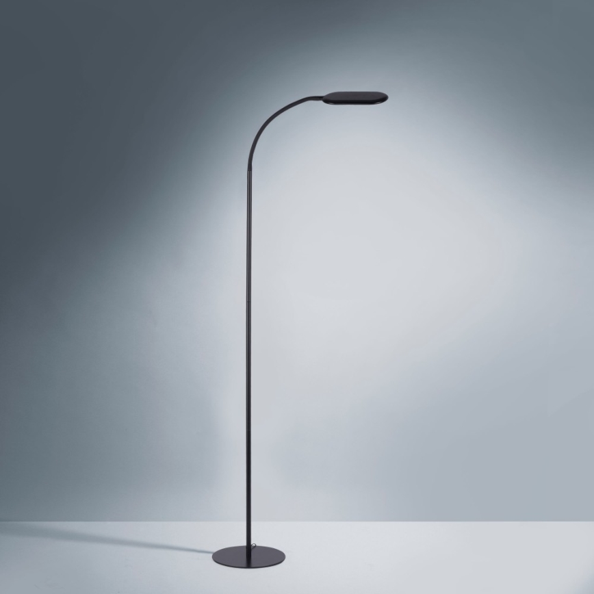 Leuchten Direkt 14406-18 - LED Himmennettävä kosketus lattialamppu KELLY LED/7W/230V 3000/4000/6000K
