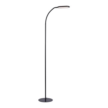 Leuchten Direkt 14406-18 - LED Himmennettävä kosketus lattialamppu KELLY LED/7W/230V 3000/4000/6000K