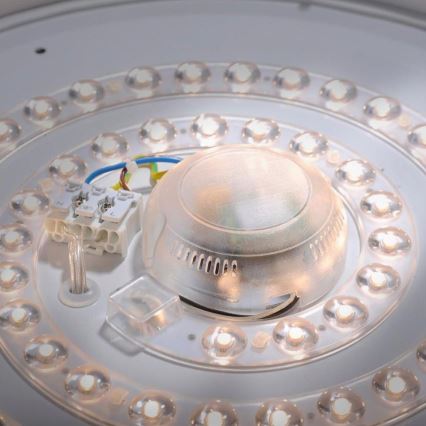 Leuchten Direkt 14422-17 - LED Kylpyhuoneen kattovalo sensorilla LAVINIA LED/18W/230V IP44