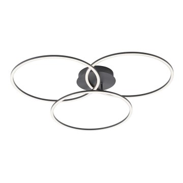 Leuchten Direkt 14539-18 - Himmennettävä LED-kattovalaisin IVANKA 3xLED/12W/230V