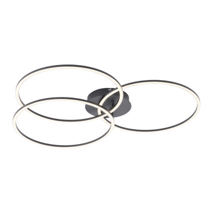 Leuchten Direkt 14539-18 - Himmennettävä LED-kattovalaisin IVANKA 3xLED/12W/230V