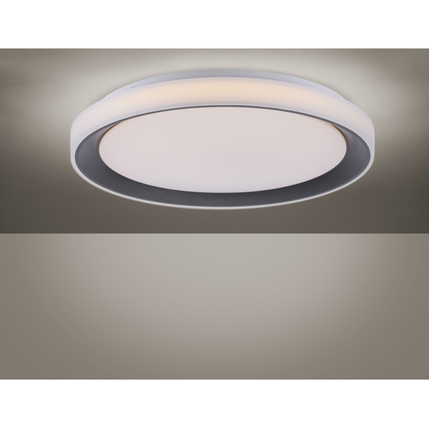 Leuchten Direkt 14659-18 - Himmennettävä LED-RGB-kattovalaisin LOLA LED/24W/230V Tuya + kauko-ohjaus