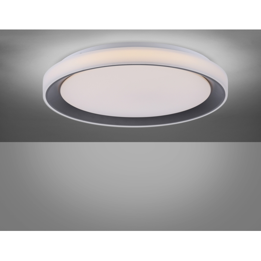Leuchten Direkt 14659-18 - Himmennettävä LED-RGB-kattovalaisin LOLA LED/24W/230V Tuya + kauko-ohjaus
