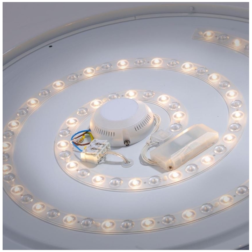Leuchten Direkt 14822-17 - LED Kylpyhuoneen kattovalo sensorilla LAVINIA LED/40W/230V IP44