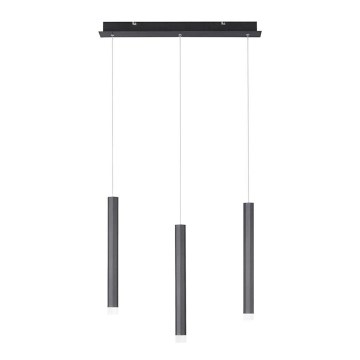 Leuchten Direkt 15203-18 - LED Kattokruunu johdossa 3xLED/4,8W/230V musta
