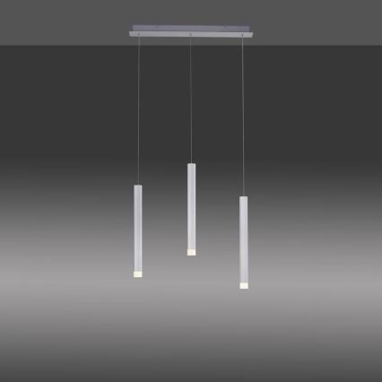 Leuchten Direkt 15203-95 - LED Kattokruunu johdossa BRUNO 3xLED/4,8W/230V valkoinen