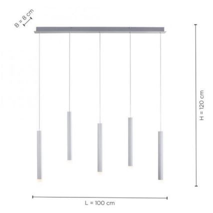 Leuchten Direkt 15205-95 - LED Kattokruunu johdossa BRUNO 5xLED/4,8W/230V