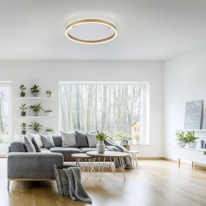 Leuchten Direkt 15391-60 - Himmennettävä LED-kattovalo RITUS LED/20W/230V