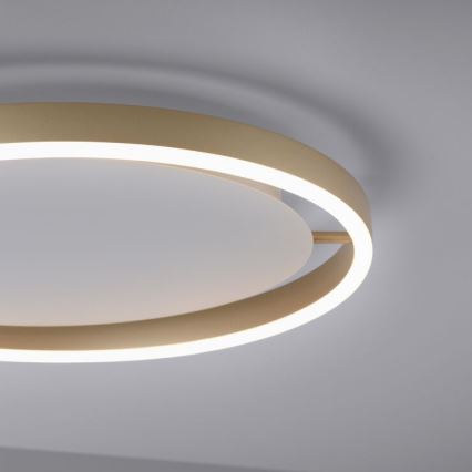 Leuchten Direkt 15391-60 - Himmennettävä LED-kattovalo RITUS LED/20W/230V