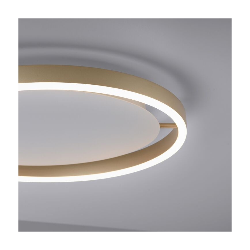 Leuchten Direkt 15391-60 - Himmennettävä LED-kattovalo RITUS LED/20W/230V