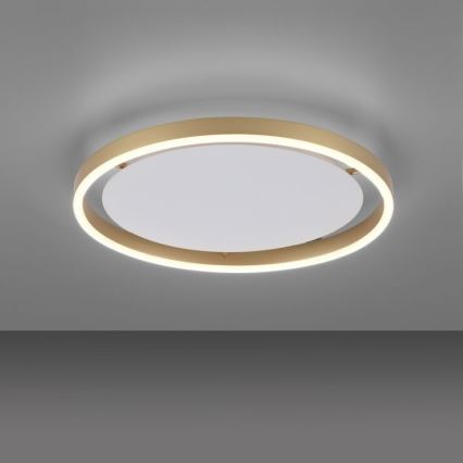 Leuchten Direkt 15391-60 - Himmennettävä LED-kattovalo RITUS LED/20W/230V