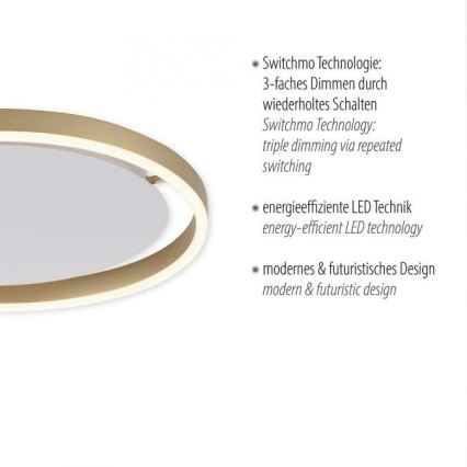 Leuchten Direkt 15391-60 - Himmennettävä LED-kattovalo RITUS LED/20W/230V