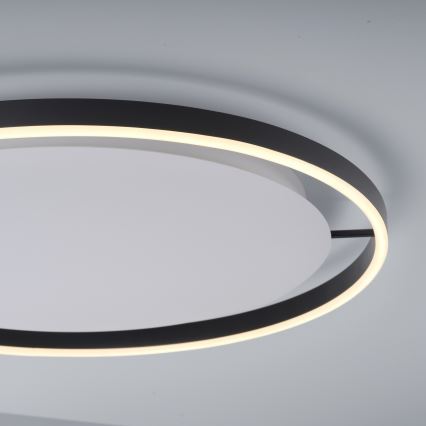 Leuchten Direkt 15392-13 - Himmennettävä LED-kattovalo RITUS LED/30W/230V musta