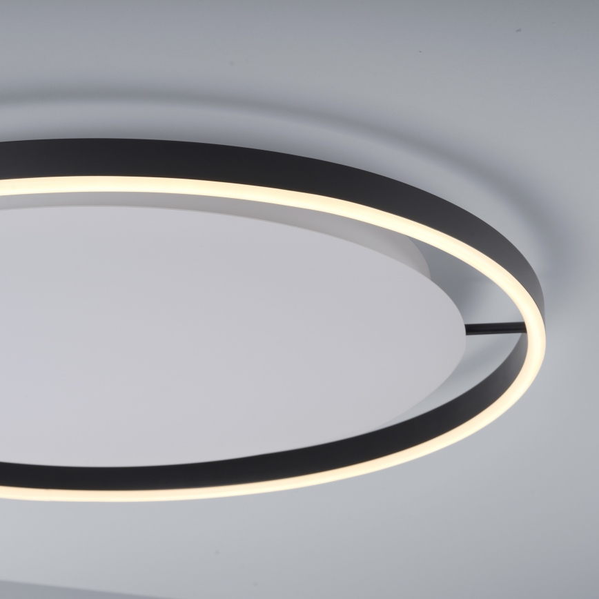 Leuchten Direkt 15392-13 - Himmennettävä LED-kattovalo RITUS LED/30W/230V musta