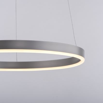 Leuchten Direkt 15393-95 - Himmennettävä LED-kattokruunu johdossa RITUS LED/20W/230V mattakromi