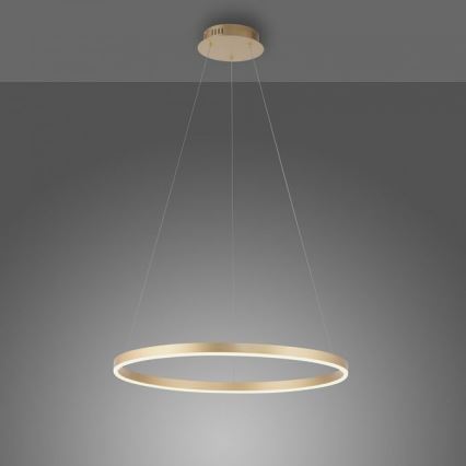 LLeuchten Direkt 15394-60 - LED-himmennettävä kattokruunu nauhalla RITUS LED/30W/230V messinki