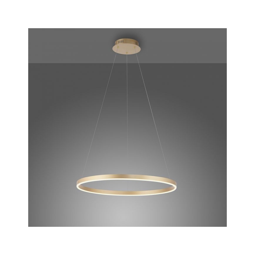 LLeuchten Direkt 15394-60 - LED-himmennettävä kattokruunu nauhalla RITUS LED/30W/230V messinki