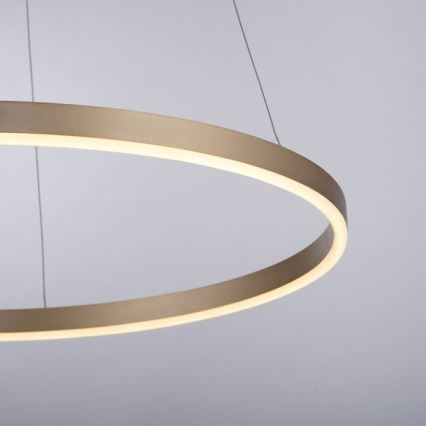 LLeuchten Direkt 15394-60 - LED-himmennettävä kattokruunu nauhalla RITUS LED/30W/230V messinki